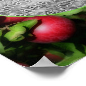 McIntosh Apples Naturrahmen kreieren Ihr eigenes F Poster (Ecke)