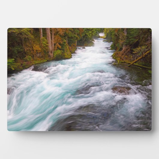 McKenzie River | Oregon Fotoplatte (Vorderseite)