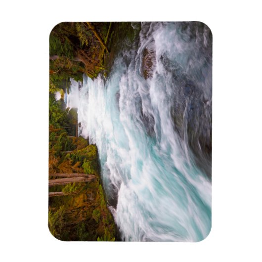 McKenzie River | Oregon Magnet (Vertikal)
