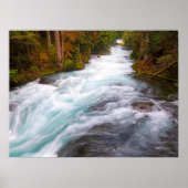 McKenzie River | Oregon Poster (Vorne)