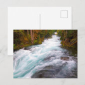 McKenzie River | Oregon Postkarte (Vorne/Hinten)