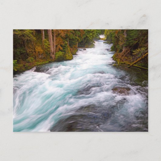 McKenzie River | Oregon Postkarte (Vorderseite)