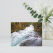 McKenzie River | Oregon Postkarte (Stehend Vorderseite)
