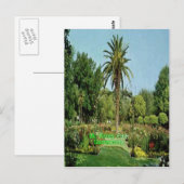 McKinley park Sacramento post card Postkarte (Vorne/Hinten)
