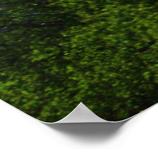 McKinley Poster (Ecke)