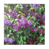 MClairArts PhotosNArt Fliese (Vorderseite)