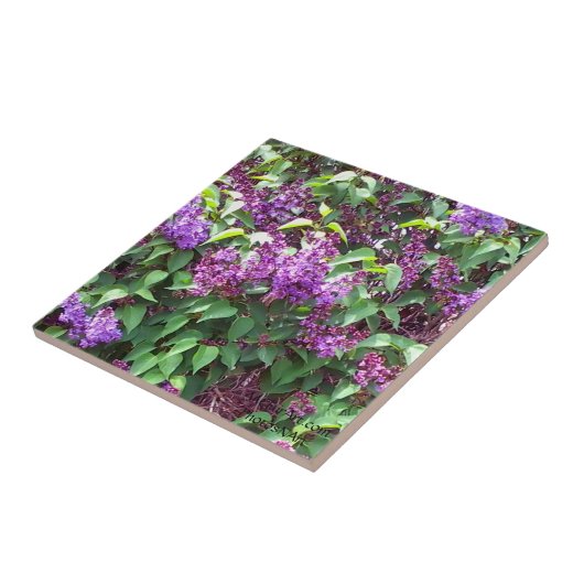 MClairArts PhotosNArt Fliese (Seite)