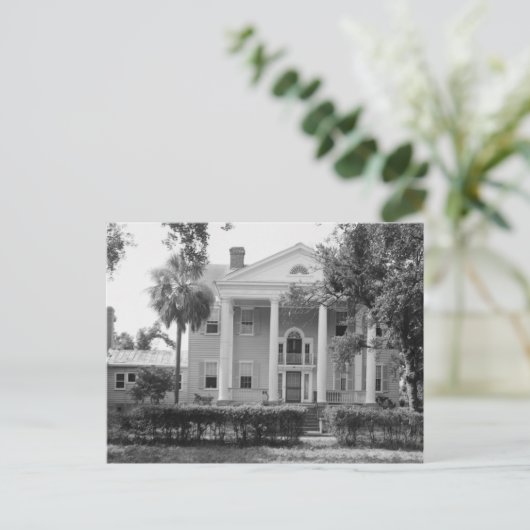 McLeod Plantation James Island SC Postcard Postkarte (Stehend Vorderseite)