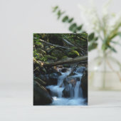 McPhee Creek, Castlegar, British Columbia Postkarte (Stehend Vorderseite)