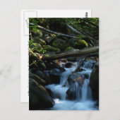 McPhee Creek, Castlegar, British Columbia Postkarte (Vorne/Hinten)