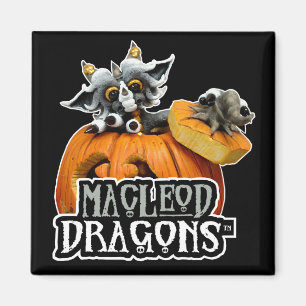 Md-Kürbis-Drache-Logo-Magnet Magnet