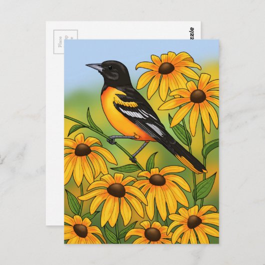 MD Staat Bird Oriole & Black-mit Augen Susan Blume Postkarte (Vorne/Hinten)
