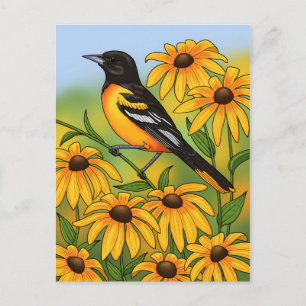 MD Staat Bird Oriole & Black-mit Augen Susan Blume Postkarte