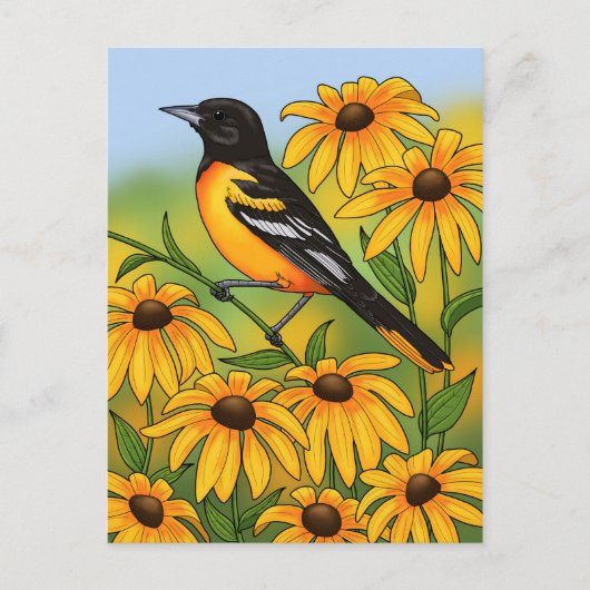 MD Staat Bird Oriole & Black-mit Augen Susan Blume Postkarte (Vorderseite)