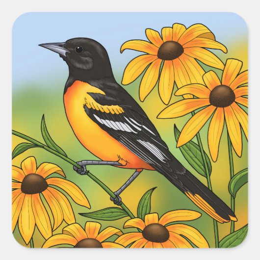 MD Staat Bird Oriole & Black-mit Augen Susan Blume Quadratischer Aufkleber (Vorderseite)