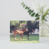 ME & MEIN SCHATTEN - Postkarte (Stehend Vorderseite)