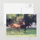 ME & MEIN SCHATTEN - Postkarte (Vorne/Hinten)