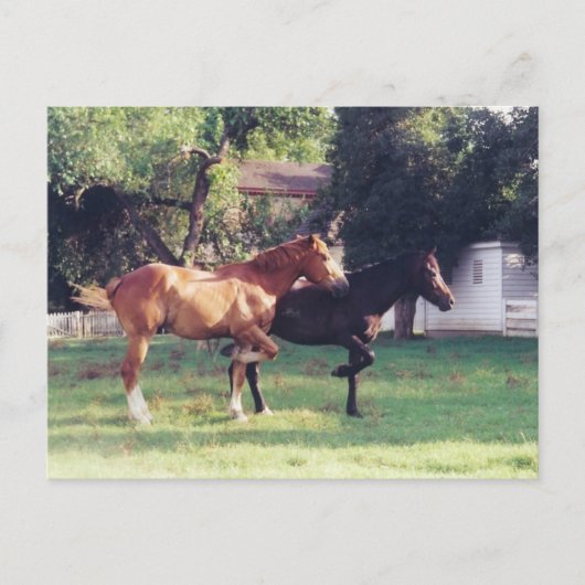 ME & MEIN SCHATTEN - Postkarte (Vorderseite)