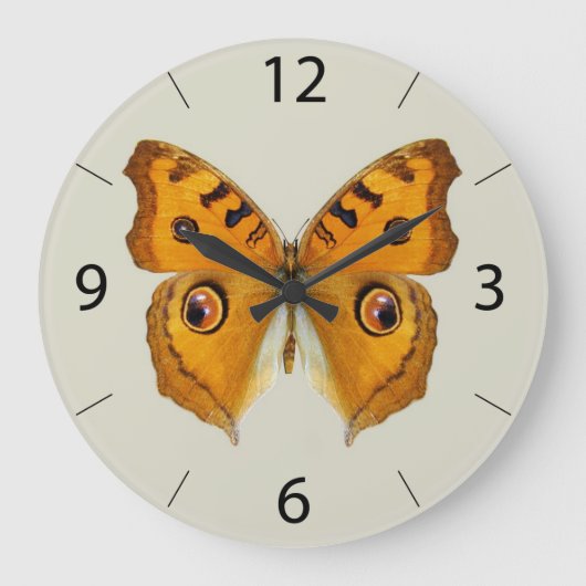 Meadow Argus Butterfly Große Wanduhr (Vorderseite)