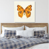 Meadow Argus Butterfly Leinwanddruck (Insitu (Schlafzimmer))