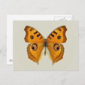 Meadow Argus Butterfly Postkarte (Vorne/Hinten)