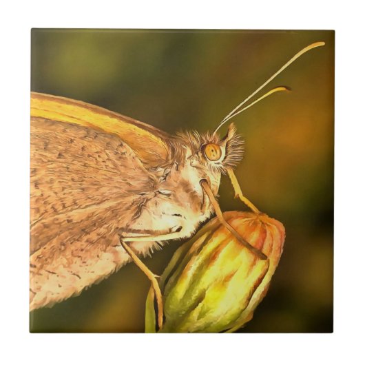 Meadow Brown Schöne Schmetterlingskunst Fliese (Vorderseite)