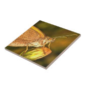 Meadow Brown Schöne Schmetterlingskunst Fliese (Seite)