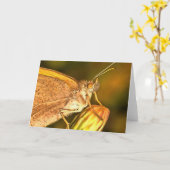 Meadow Brown Schöne Schmetterlingskunst Karte (Gelbe Blume)