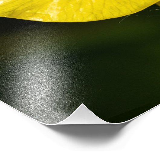 Meadow Buttercup Fotodruck (Ecke)