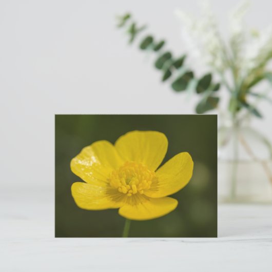 Meadow Buttercup Postkarte (Stehend Vorderseite)