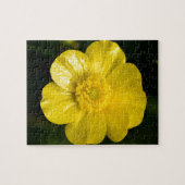 Meadow Buttercup Puzzle (Horizontal)