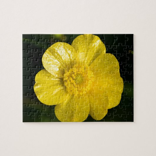 Meadow Buttercup Puzzle (Horizontal)