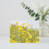 Meadow Buttercups Postkarte (Stehend Vorderseite)