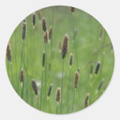 Meadow Foxtails Runder Aufkleber (Vorderseite)