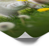 Meadow Fur Babies Poster (Ecke)