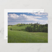 Meadow in Custer Staat Park Postkarte (Vorne/Hinten)