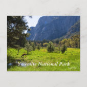 Meadow in Yosemite Postcard Postkarte (Vorderseite)