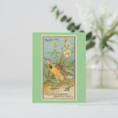 Meadow Lark Postkarte (Stehend Vorderseite)