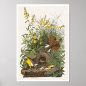 Meadow Lark von Audubon Poster (Vorne)