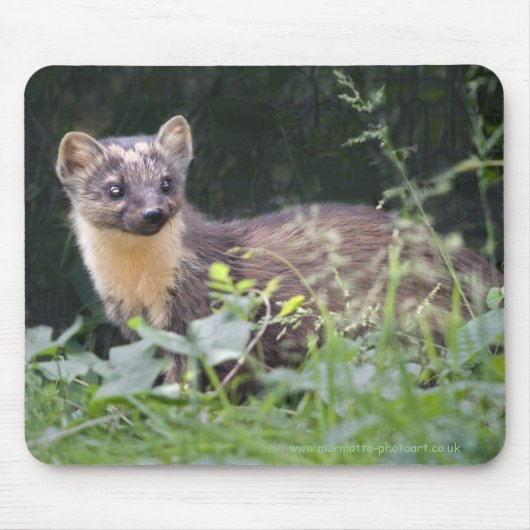 Meadow Marten Mousemat Mousepad (Vorne)
