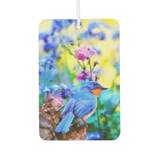 Meadow Melody Autolufterfrischer (Vorderseite)