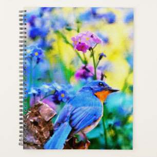 Meadow Melody Planer