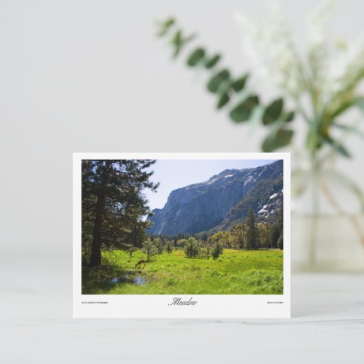 Meadow Postcard Postkarte (Stehend Vorderseite)