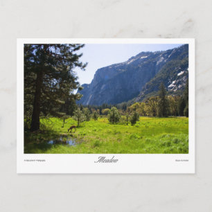 Meadow Postcard Postkarte