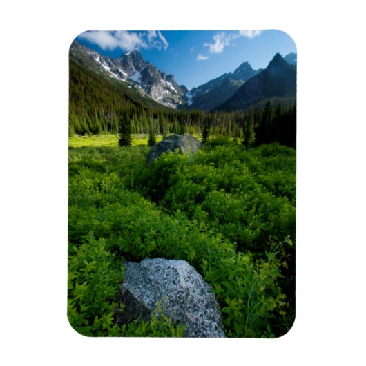 Meadow und Mt. Stuart Magnet (Vertikal)