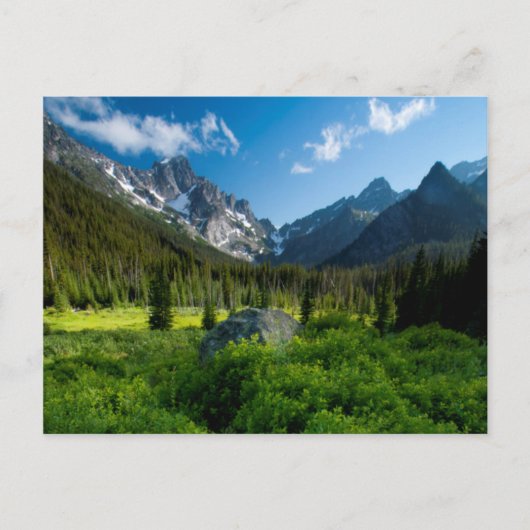 Meadow und Mt. Stuart Postkarte (Vorderseite)