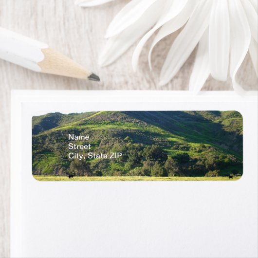 Meadow Valley (Insitu)