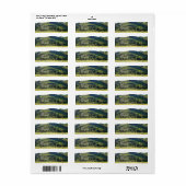 Meadow Valley (Vorne)