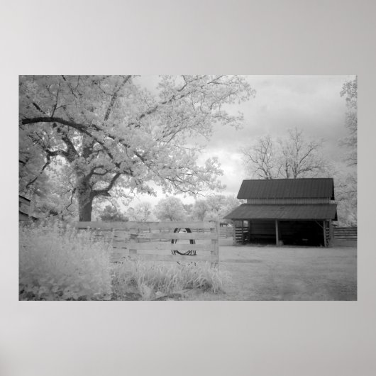 Meadowbank-Farm Poster (Vorne)