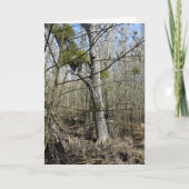 Meadowiner Karte (Vorderseite)